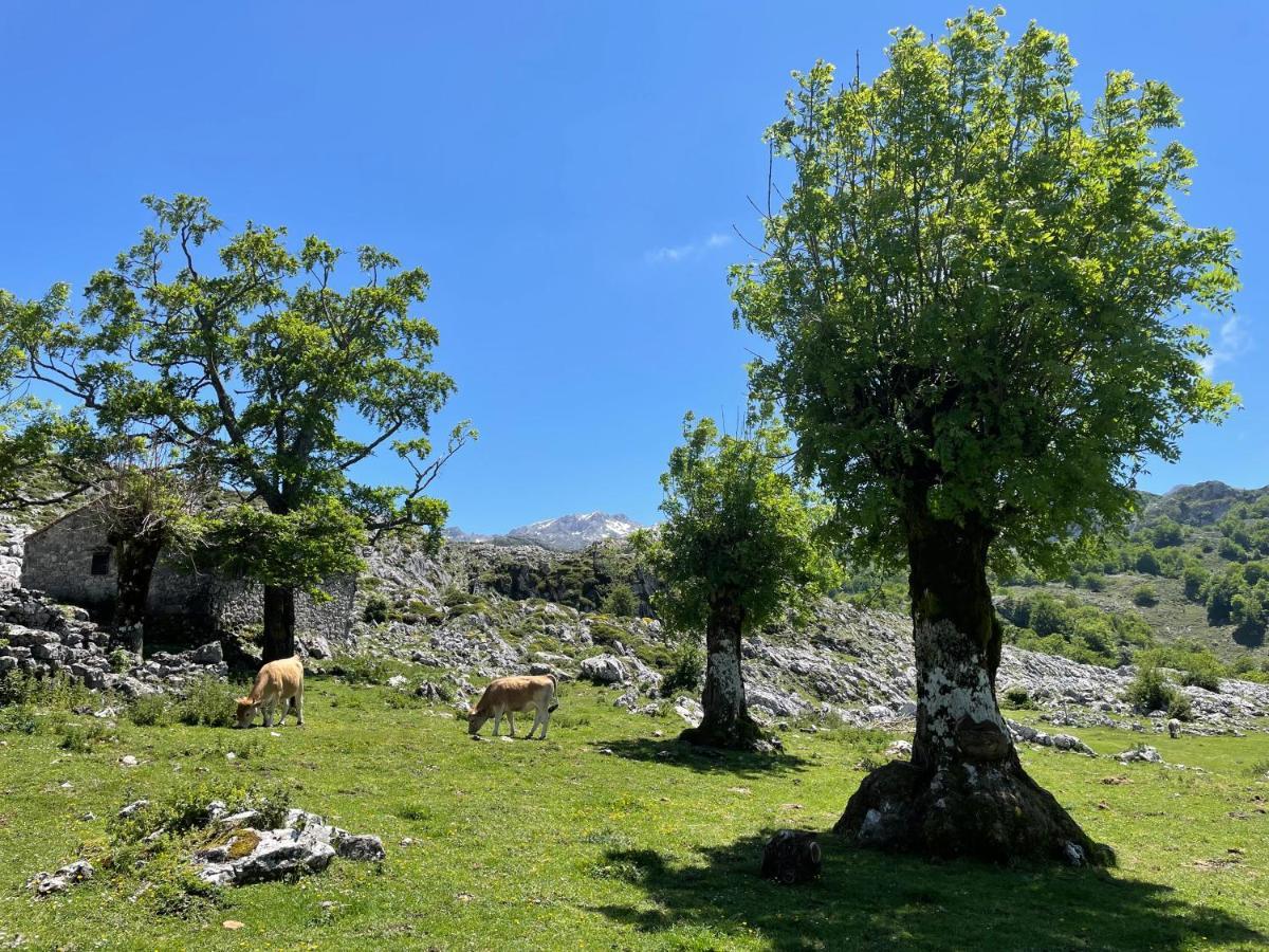 Mar Y Montana Villa Piloña Eksteriør billede
